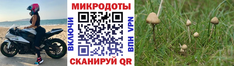 Псилоцибиновые грибы прущие грибы  сколько стоит  kraken маркетплейс  Электроугли 
